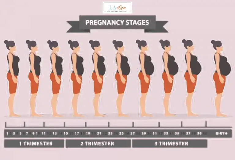 First Trimester (Weeks 1–12): Early Changes You Might Not Notice Southend
